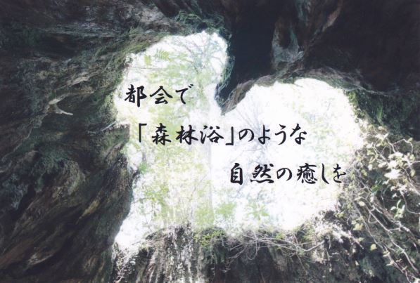 横浜市鶴見区 マッサージ・フェイシャルエステ・深眠タッチセラピー®︎・深眠フットセラピー®︎ プライベートサロン/個人サロン マンツーマン対応 