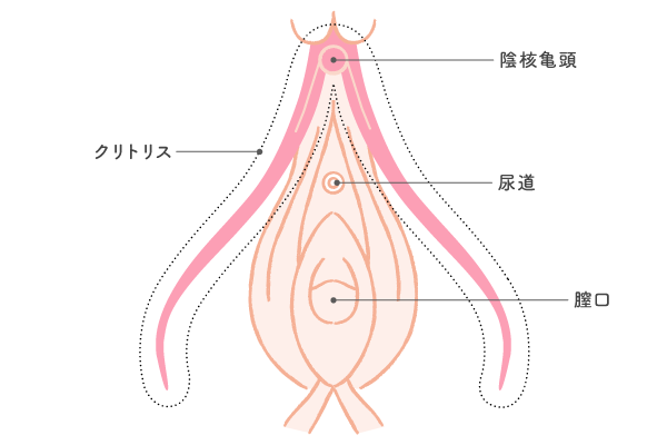 指オナニーでイク方法！処女でも膣に指を入れて指オナしていい？【快感スタイル】