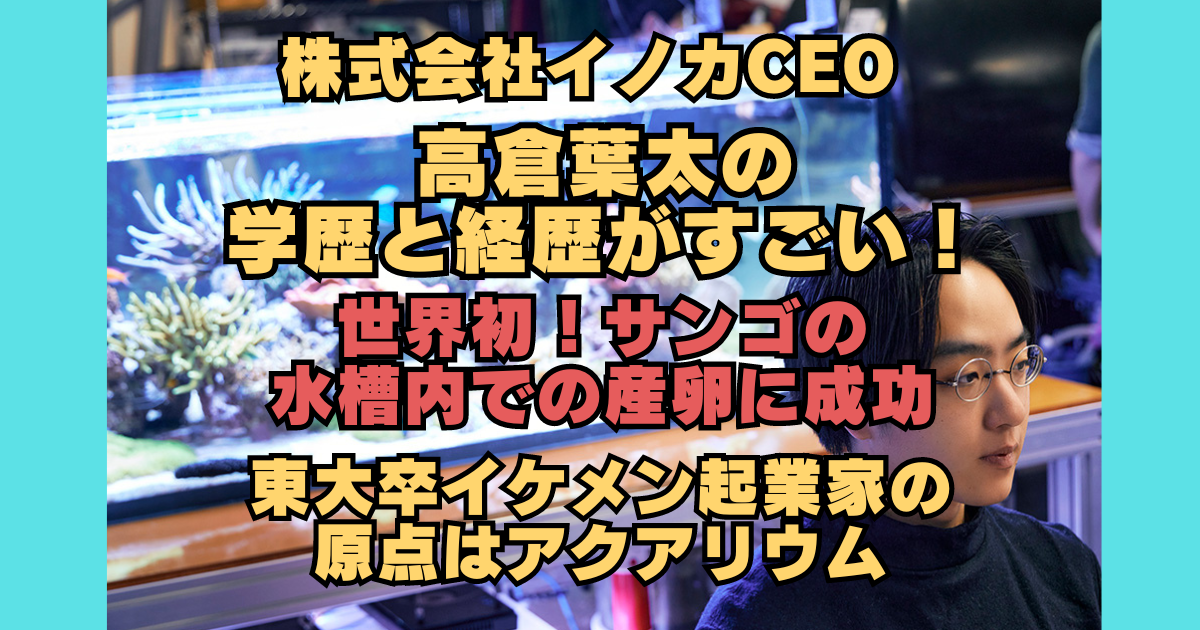 紗栄子「こんなんでカバーされ…た！」カバー力に驚いたクッションファンデーション｜ニフティニュース