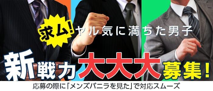 デリヘルドライバーの運転免許は「普通」でOK？押さえておくべきポイントとは？｜野郎WORKマガジン