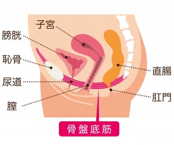 脳イキって何？声を聞くだけでイク？脳イキしやすい人とは？ | 恋メモH