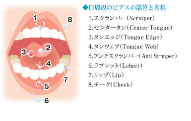 舌ピアス｜京都・滋賀の大西皮フ科形成外科医院【大津石山,四条烏丸】