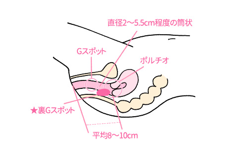 最高に気持ちいい『セックス体位』とは！ - 夜の保健室