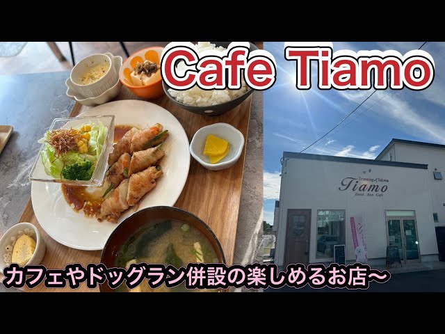 CafeTiamo (@tiamo.cafe8716) • Instagram photos