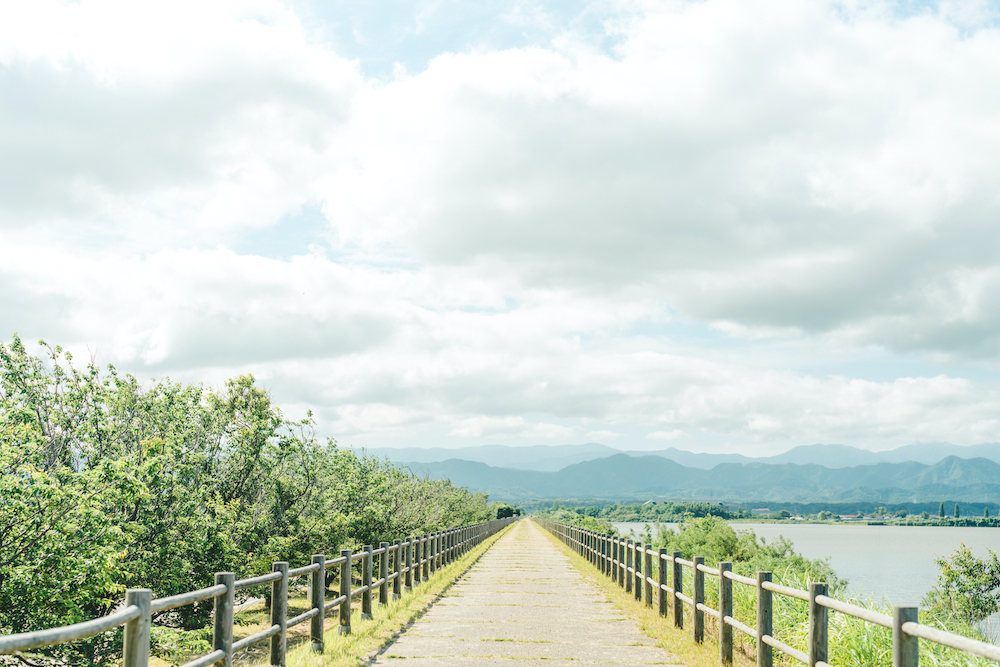 ☆昭和40年代初・絵葉書☆北陸路・16枚袋付☆芦原温泉旅館/和倉温泉/山代温泉浴殿/片山津・柴山潟の夜景/他(絵葉書)｜売買されたオークション情報、Yahoo!オークション(旧ヤフオク!)  の商品情報をアーカイブ公開