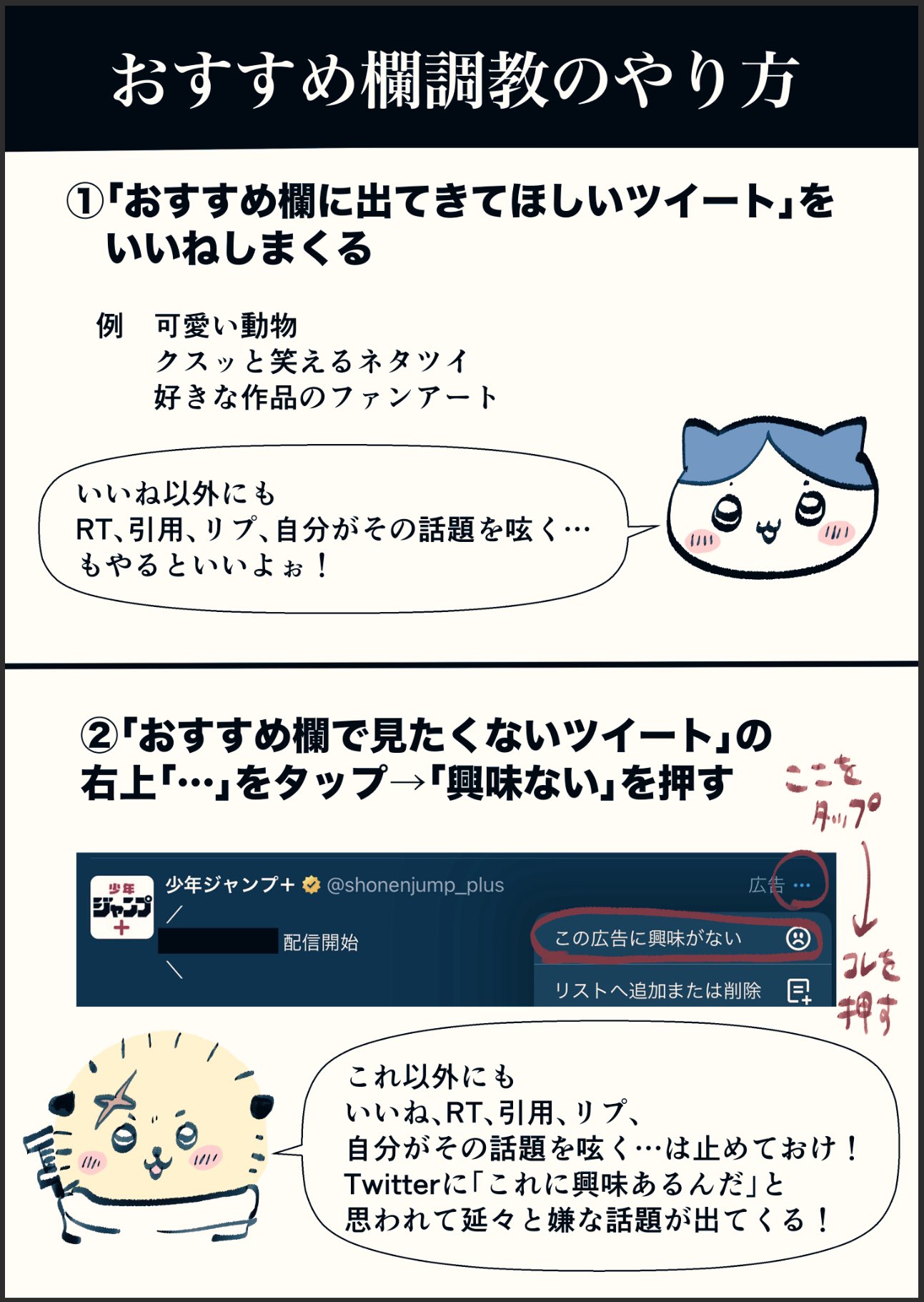 人気上昇中のフクロウ飼育書決定版‼︎》飼育環境から餌、接し方、病気、調教の仕方まで。あらゆる角度から撮影したフクロウの写真満載！ |  株式会社誠文堂新光社のプレスリリース