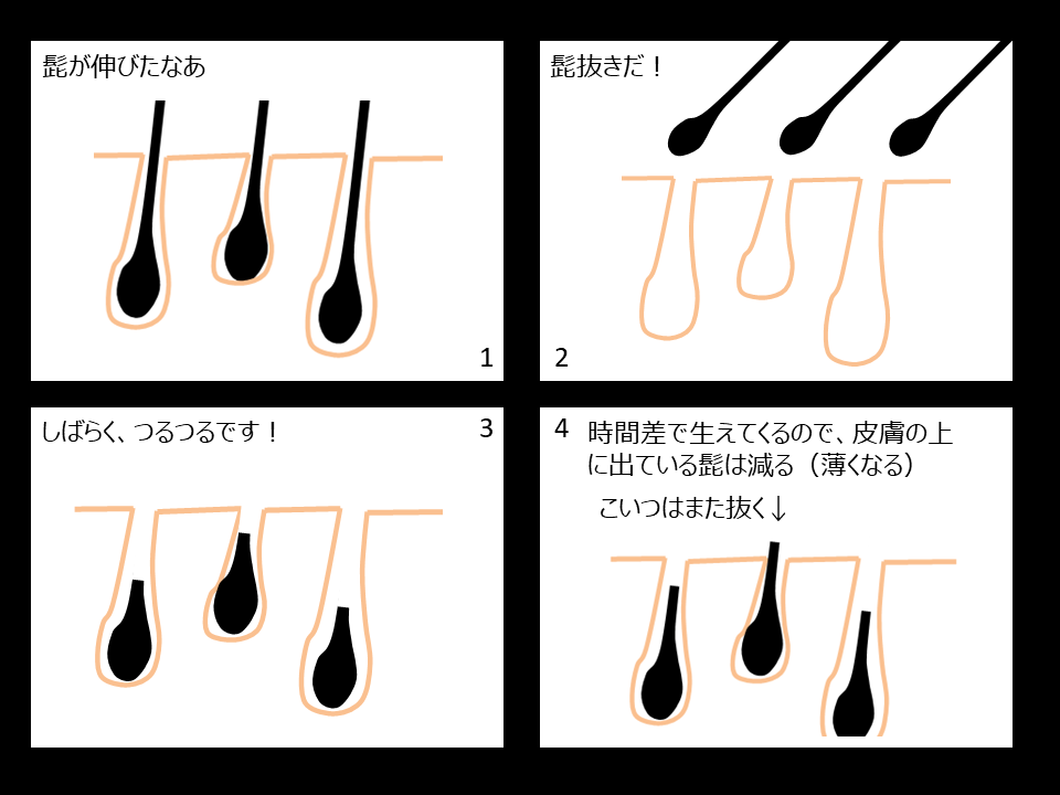 医師監修】「あごひげを抜くと生えてこない」は本当？デメリットや処理方法も解説 | Midashinami 身だしなみ