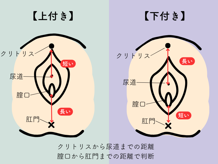 性交痛の原因は子宮内膜症？痛む部位・症状・原因・治療法に関して女医が丁寧に解説。 –  港区、品川区の産婦人科で妊婦健診・産後ケア・避妊相談なら│海老根ウィメンズクリニック