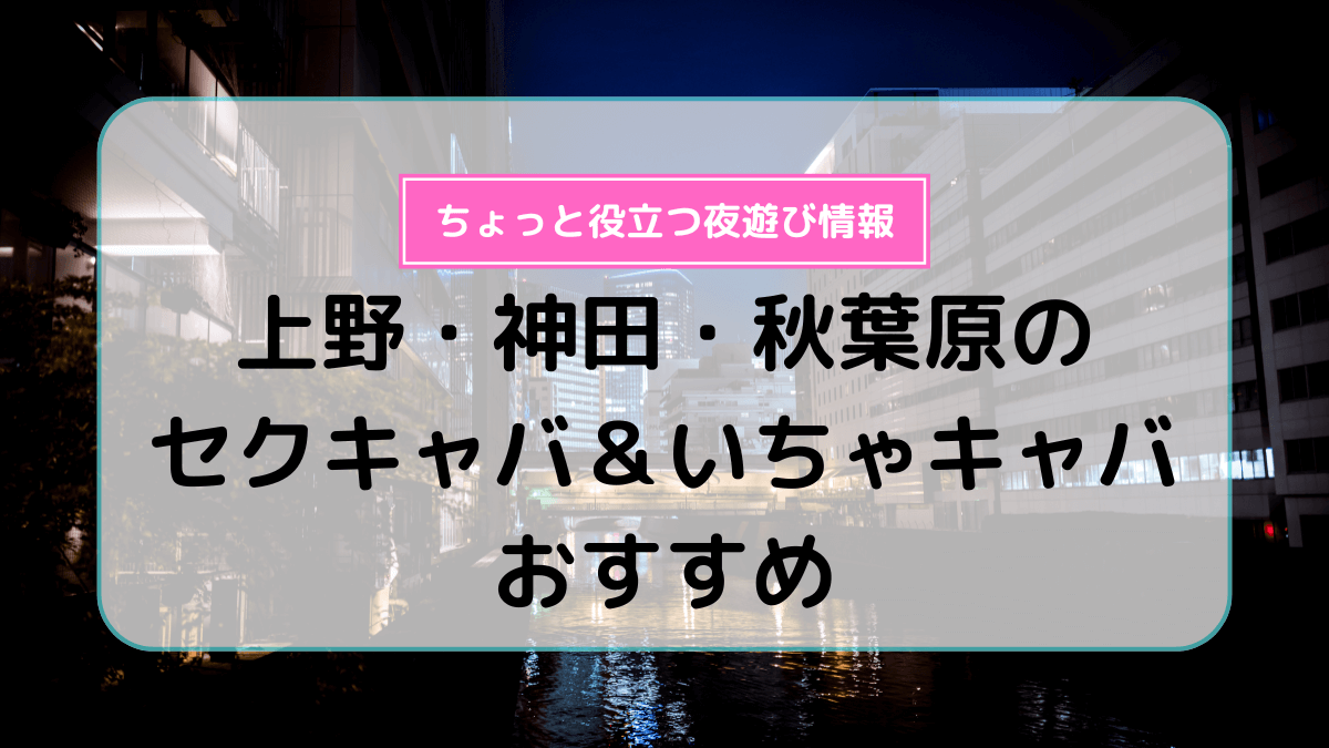 体験レポ】「錦糸町」のセクキャバで実際に遊んできたのでレポします。錦糸町の人気・おすすめセクシーキャバクラ2選 | 矢口com