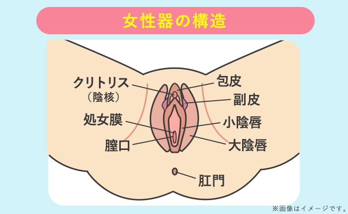 肛門周囲膿瘍(肛門のしこり・痛み)の治療・手術｜神奈川県川崎市の梶ヶ谷クリニック