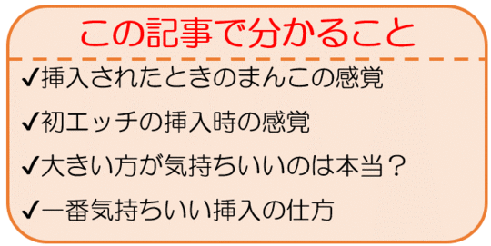 後背位（バック）のやり方を画像で解説 | 寝バック・立ちバックなども紹介 ｜