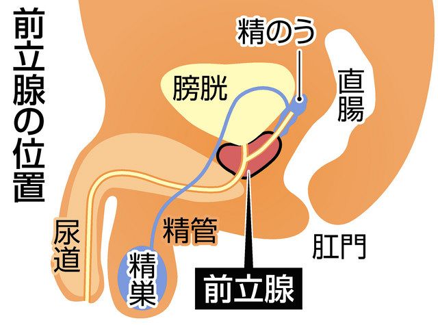 風俗エステの「前立腺マッサージ」の前にしておきたい事前準備とは？｜エステの達人マガジン