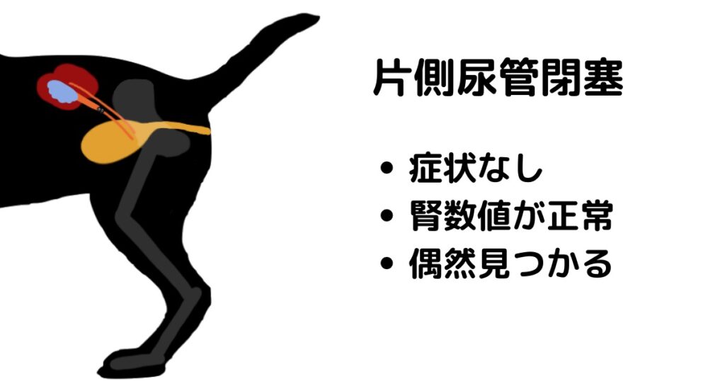 胸腔ドレーン挿入時に臓器・血管を傷つける事故が散発、挿入時の留意はもちろん、挿入後の確認・モニタリング徹底を―PMDA | GemMed