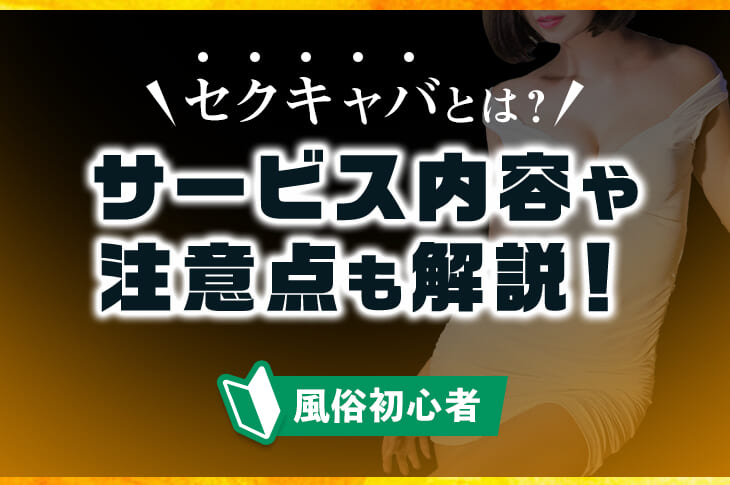 ランデブー（ランデブー）［日本橋 セクキャバ］｜風俗求人【バニラ】で高収入バイト