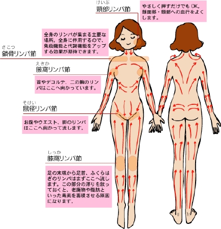 メンズエステで働くには資格が必要なの？種類から取得方法まで紹介｜メンズエステお仕事コラム／メンズエステ求人特集記事｜メンズエステ 求人情報サイトなら【メンエスリクルート】