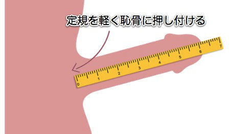 専門家監修】コンドームはなぜ必要？サイズ・種類・購入場所は？ | 家庭ではじめる性教育サイト命育