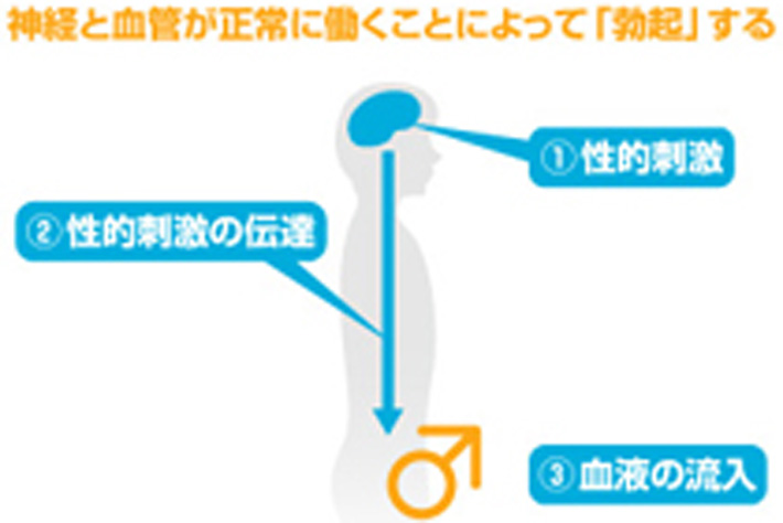 AGA治療おすすめクリニック11選！薄毛治療の費用比較や後悔しないための選び方も紹介 | さいとう内科クリニック