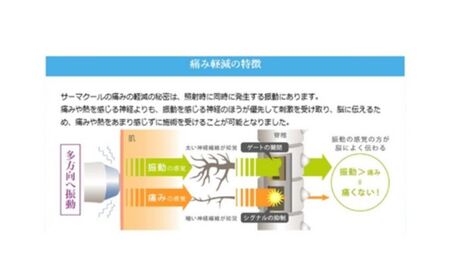 イオン 導入 ベビー スキン ライト（顔）1回