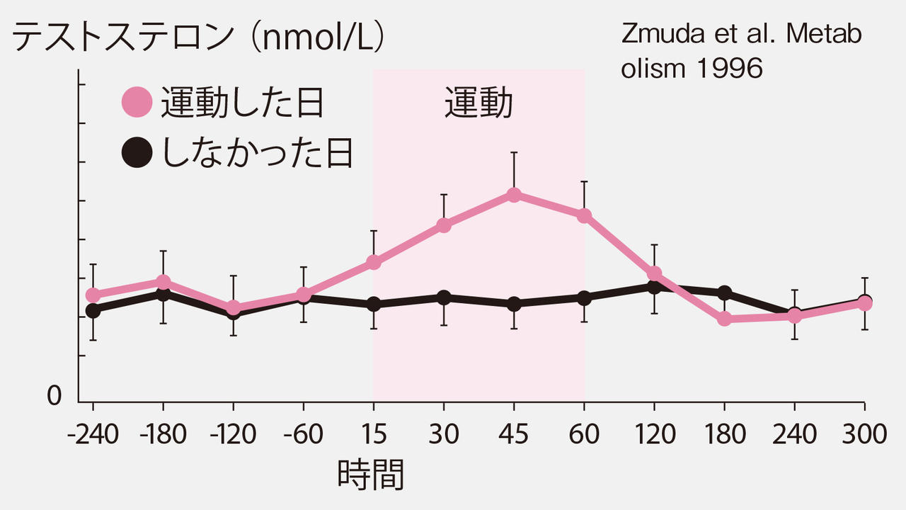 性欲の源、テストステロンが減少…。はやめに「食い止め計画」発令を！