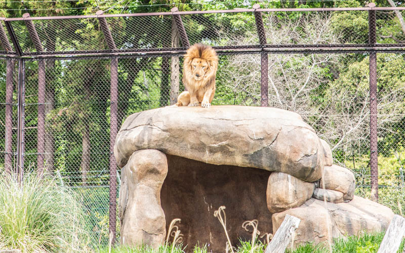 ふなばしアンデルセン公園へ行く、の巻 : 迷走する小人