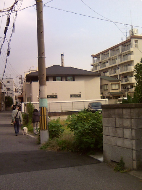 孤島さんのサ活（野里の湯 (天然温泉かけながし), 大阪市）7回目 - サウナイキタイ