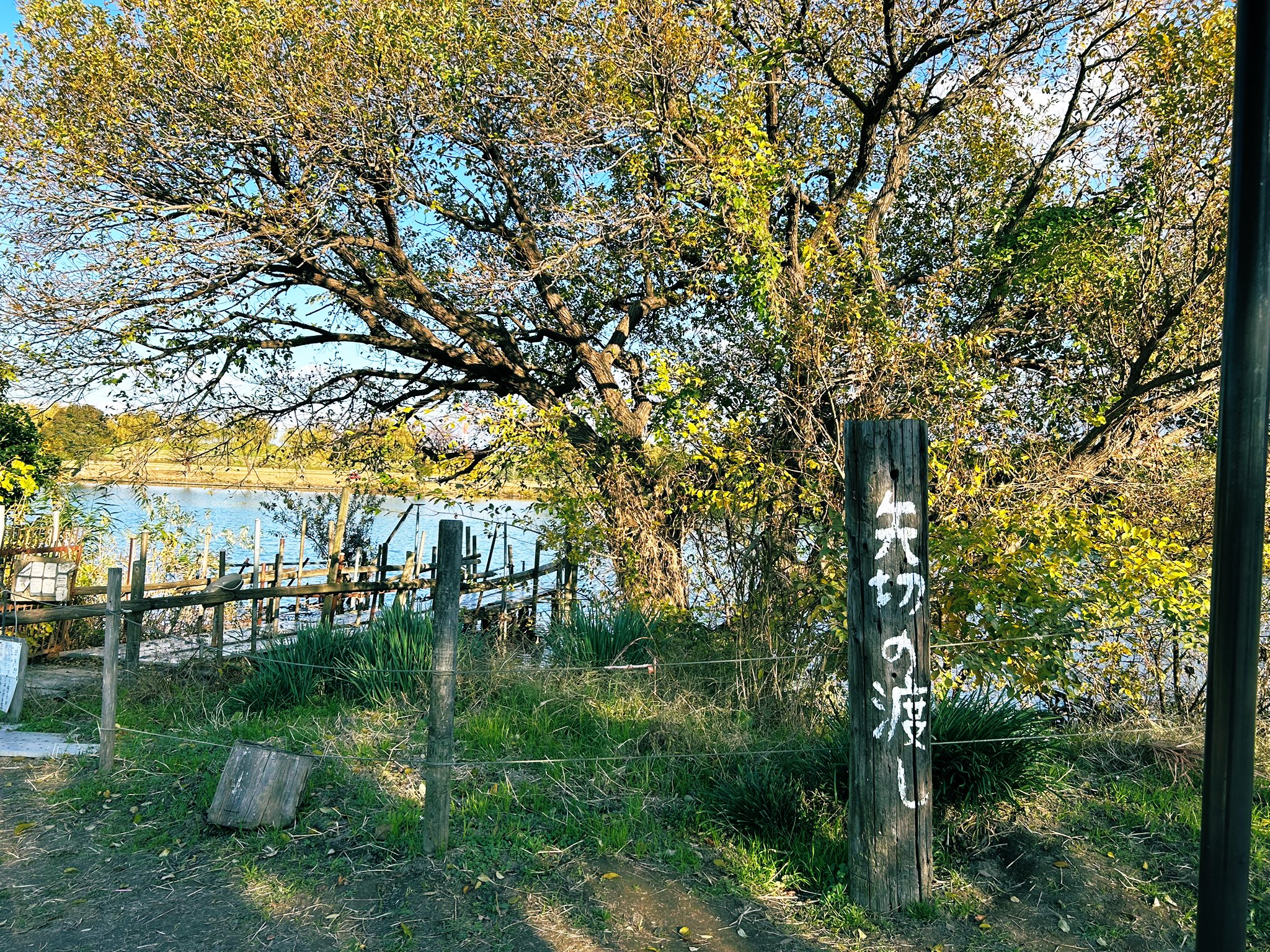 いよいよ告白へ！「約束してほしいことがあって…」大食い美少女のお願いとは？《今日好き ホアヒン編 第4話》 (2024年7月5日) -