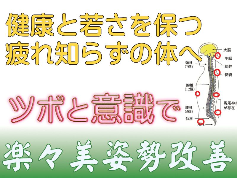 ホテルミュッセ銀座名鉄】の空室状況を確認する - 宿泊予約は[一休.com]