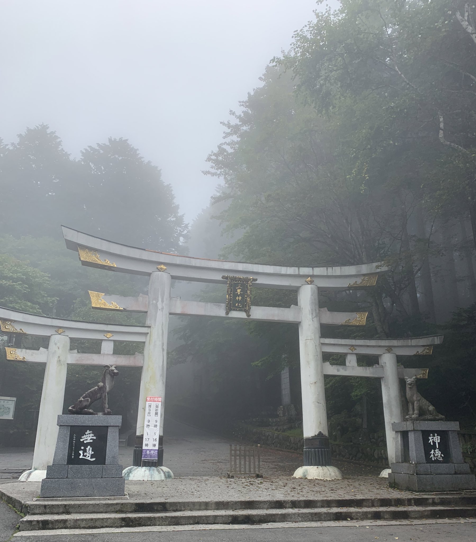 うに(23):池袋北口/西口【いやし処 螢屋 池袋店】メンズエステ[ルーム型]の情報「そけい部長のメンエスナビ」