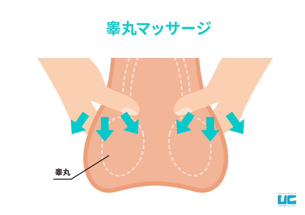 睾丸マッサージについて徹底解説【一場みらい / Part3】