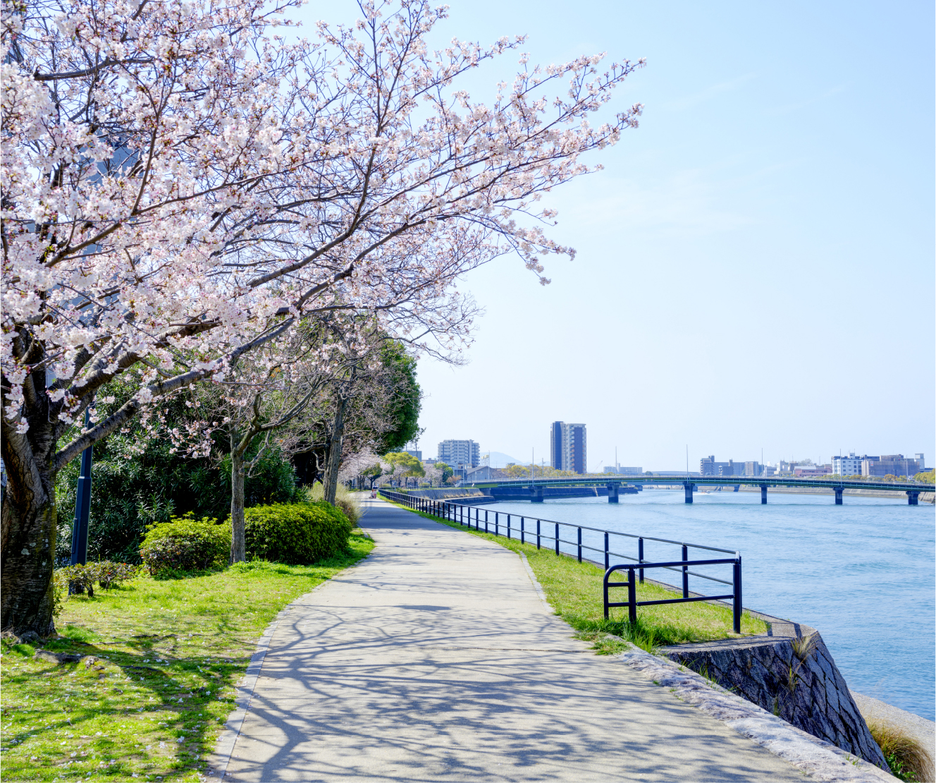 舟入本町マンション：販売情報 | 広島のリノベーションならストックホーム