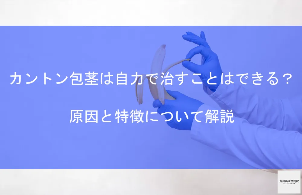 医師監修】カントン包茎は手術で治療が可能？真性との違いや手術方法・費用も解説 | メンズライフクリニック【公式】