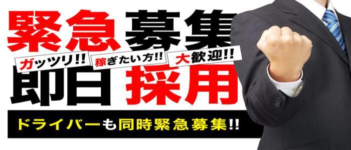 栃木の送迎ドライバー風俗の内勤求人一覧（男性向け）｜口コミ風俗情報局