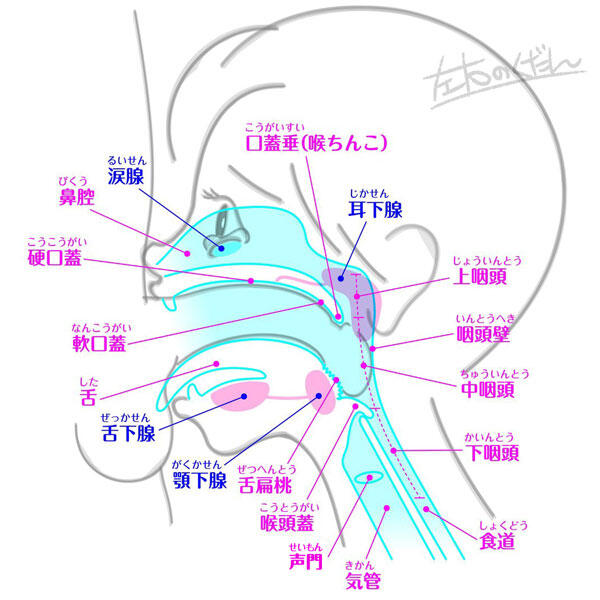 ○[馬乗りイラマチオ♡] 頭脳明晰そうな美女を床に寝転がしてマウントを取りギンギンに勃起したちんぽを喉奥に突っ込んで楽し - 動画エロタレスト