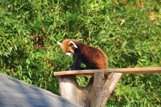 舞浜・浦安・船橋・幕張 動物とふれあう 子供の遊び場・お出かけスポット |