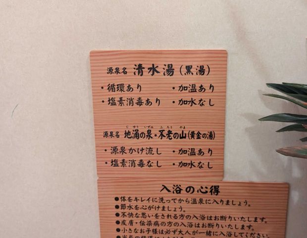 460円なのに2つの温泉が楽しめる！超コスパ人気銭湯「武蔵小山温泉 清水