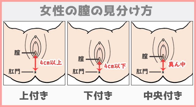 【気持ちいい！】個性的なセックス体位4選【大人の性教育】