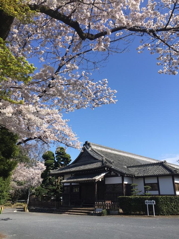 西川口人妻城（ニシカワグチヒトヅマジョウ）［西川口・川口 デリヘル］｜風俗求人【バニラ】で高収入バイト