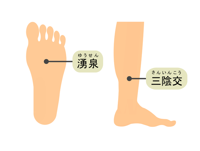 足つぼ 模型 足裏