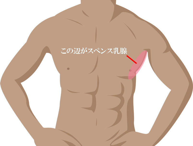 男がやってはいけない禁断のスペンス乳腺開発〜乳首依存症患者を弄ぶドスケベ悪徳女医〜 [Hishihai Addiction] Karya yang