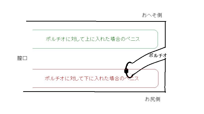 ポルチオセックスのやり方！ ポルチオ開発で奥イキするコツ※体験談あり | シンデレラグループ公式サイト