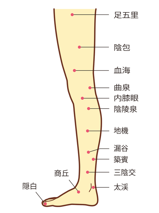 リフレクソロジーの起源（天神・赤坂・大濠・城南） | 福岡のボディケア 健康館