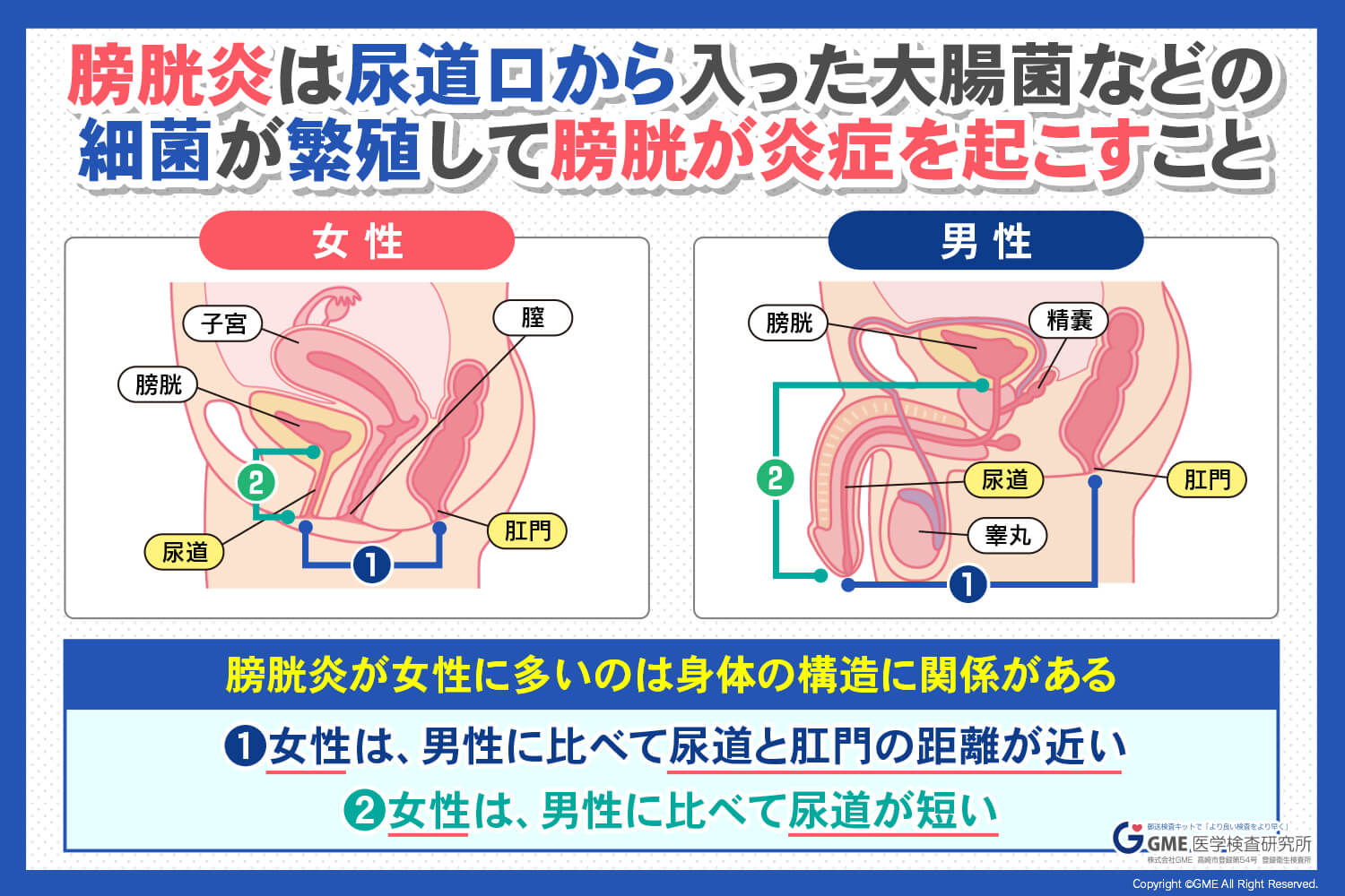 青梅線青梅駅構内のトイレに入ったら、左右の表示で言っていることが矛盾していた。 | Ichikawa Tamotsuのブログ