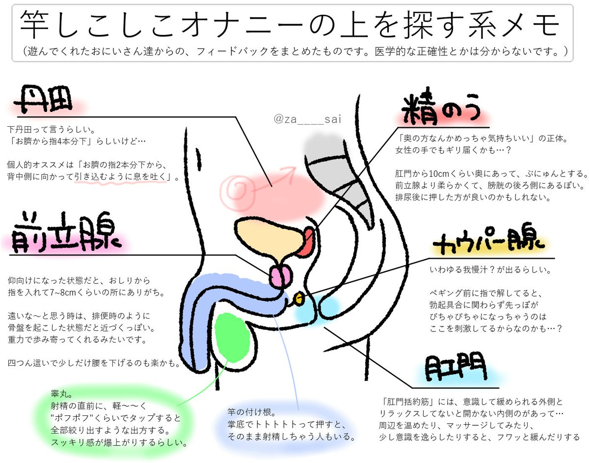 楽天ブックス: 無邪気な宝箱 -