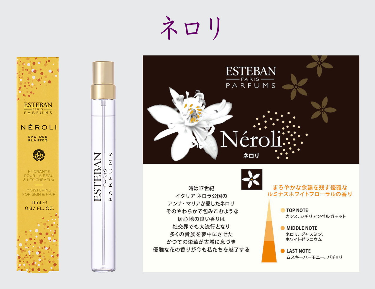 ESTEBAN・エステバン-お香-アロマ用品-日本香堂