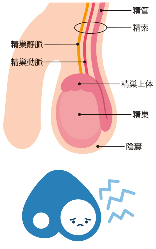 修学旅行でちんこを見せるのが恥ずかしい？解決策はあるの？ | 【フェアクリニック】包茎・薄毛・男の悩み相談所