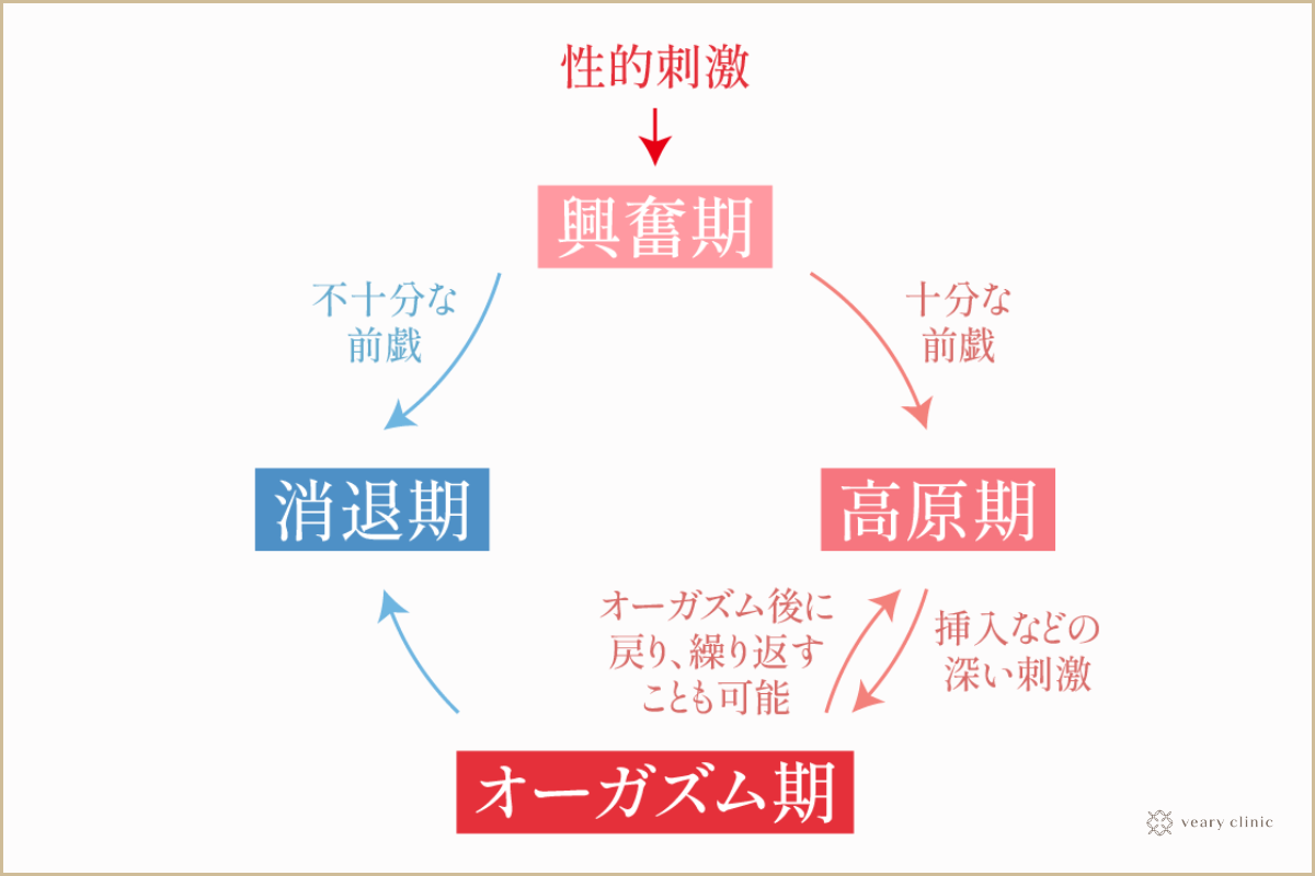 バックで挿入するときによくある悩みとセックス時のコツについて解説｜Cheeek [チーク]