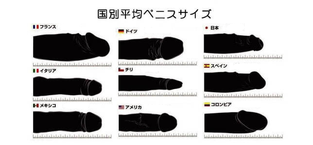 日本人のペニスサイズ調査～調査の方法 | 男性生殖器マニア