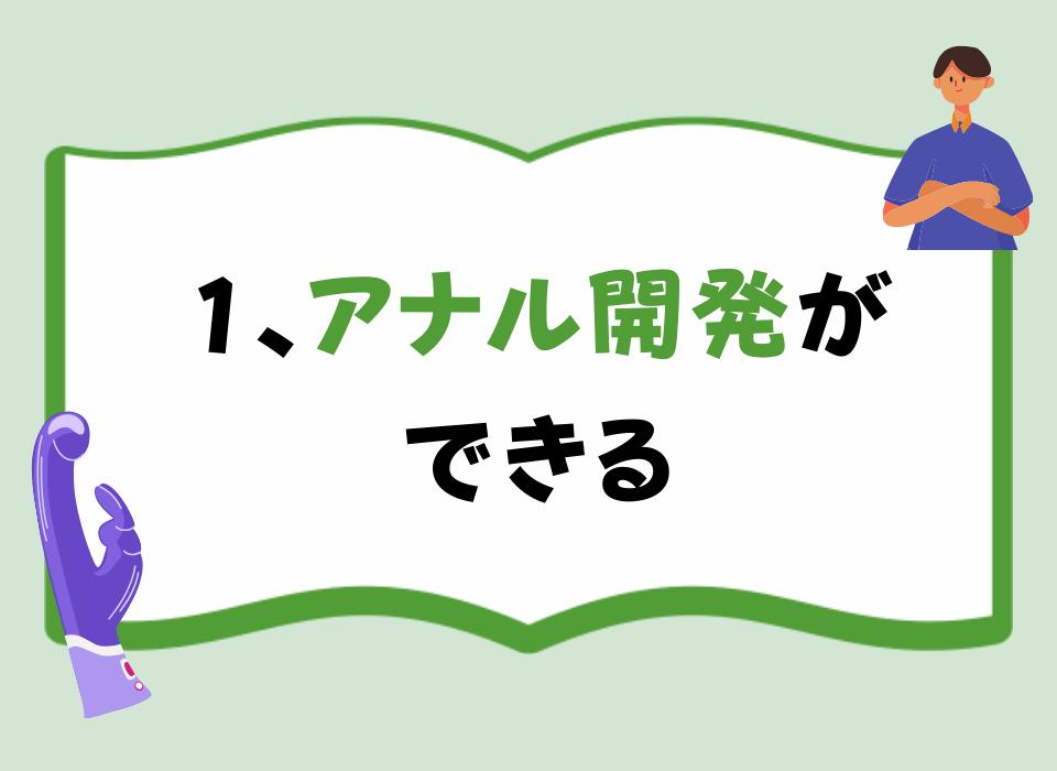 2*9種振動 三点責め リモコン付き