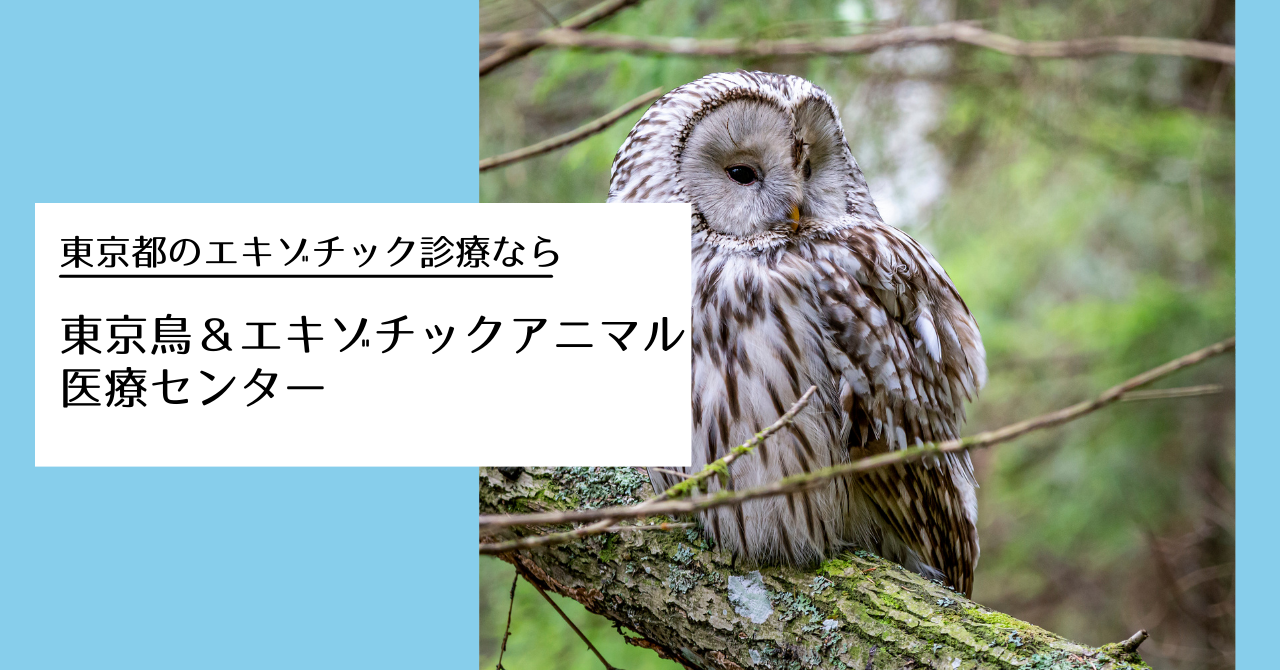 みわエキゾチック動物病院（豊島区駒込）の口コミ(4件) | エキテン