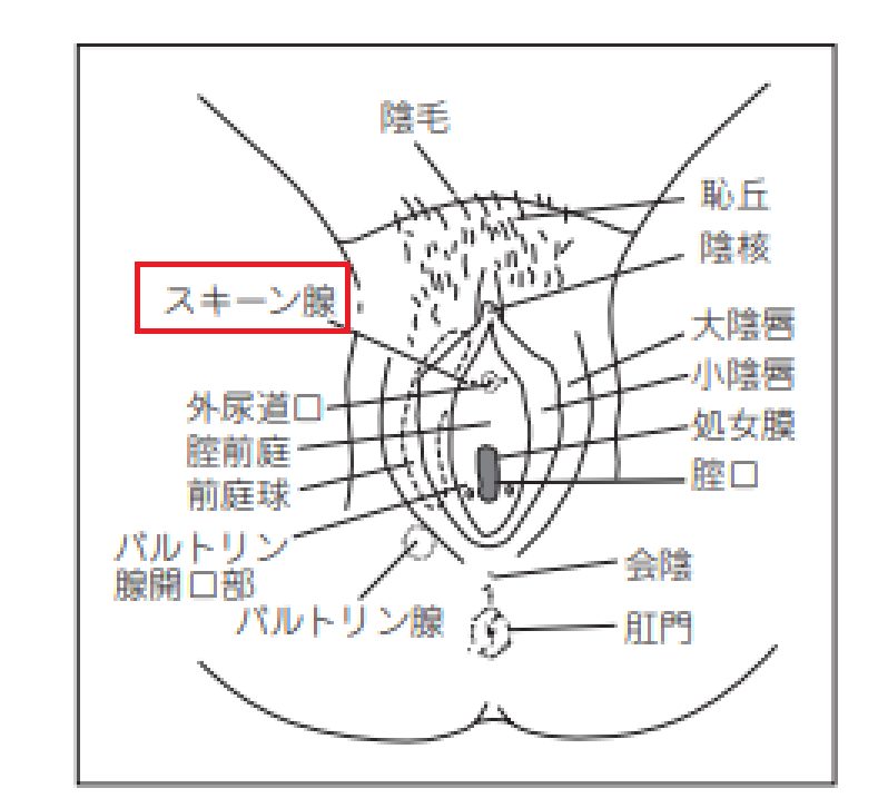 おしっこ好きさん集合 ☆ おしっこアート ☆ 美尻